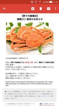 11月6日　野々市　香箱ガニメール届きました！