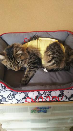 生き物ルーム第10(=^ェ^=)