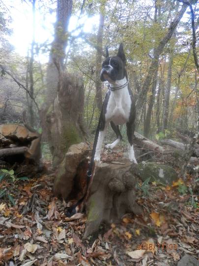 生き物ルーム第10(=^ェ^=)