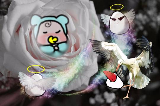 vol.12　愛調(ｵﾁｮ)南関東(ミナカン)連合　Merry Christmasか？！