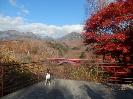 生き物ルーム第10(=^ェ^=)