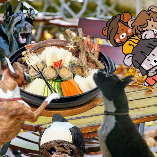 生き物ルーム第10(=^ェ^=)