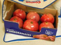 ザクロは入荷していますか？