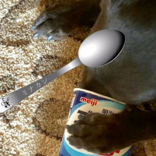 vol.12　愛調(ｵﾁｮ)南関東(ミナカン)連合　Merry Christmasか？！