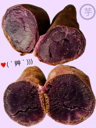 vol.12　愛調(ｵﾁｮ)南関東(ミナカン)連合　Merry Christmasか？！