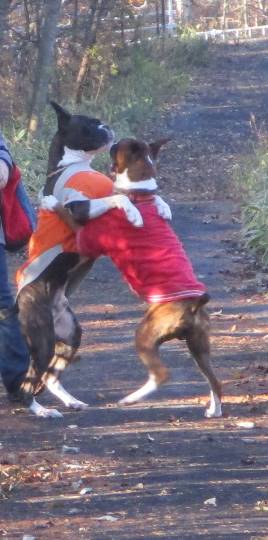 生き物ルーム第10(=^ェ^=)