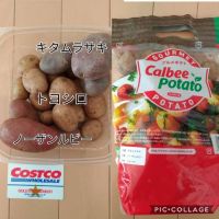 11月14日(水) 浜松