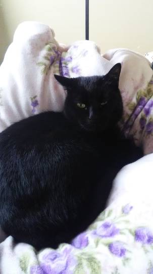 生き物ルーム第10(=^ェ^=)