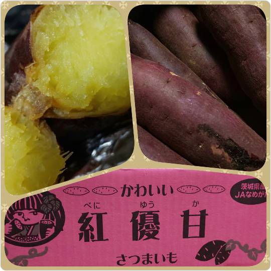 vol.12　愛調(ｵﾁｮ)南関東(ミナカン)連合　Merry Christmasか？！