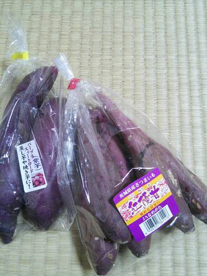 vol.12　愛調(ｵﾁｮ)南関東(ミナカン)連合　Merry Christmasか？！