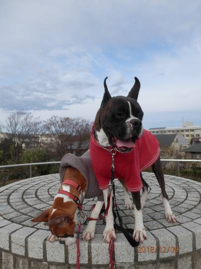 生き物ルーム第10(=^ェ^=)