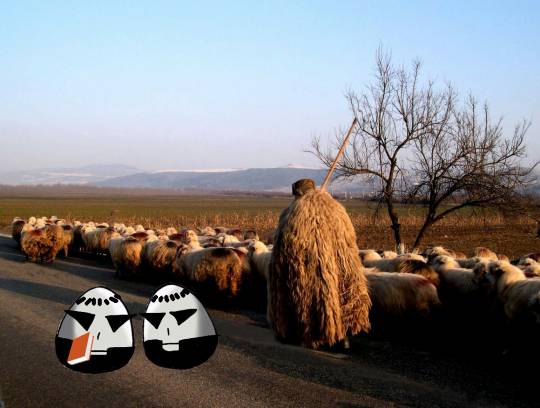 EGG'S CAFE 誰も知らない小さな...