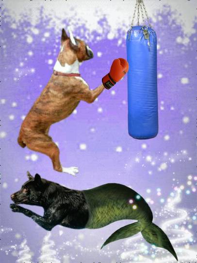 生き物ルーム第10(=^ェ^=)