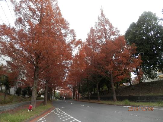 生き物ルーム第10(=^ェ^=)
