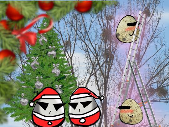 EGG'S CAFE 誰も知らない小さな...