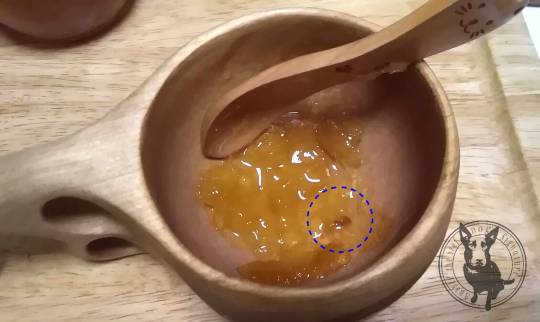 12/1 (土) 中部ッ シワスゥ～(*´∀｀)ノ