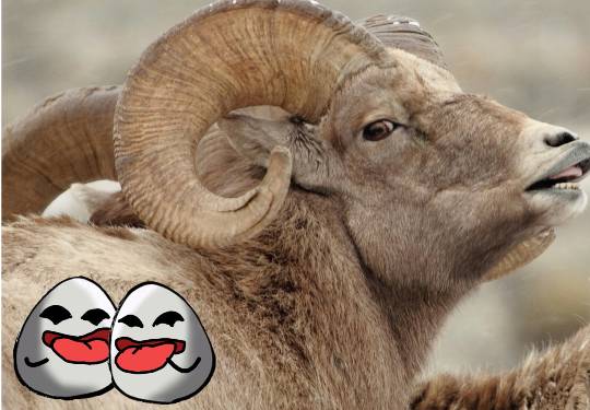 EGG'S CAFE 誰も知らない小さな...