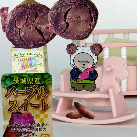 vol.12　愛調(ｵﾁｮ)南関東(ミナカン)連合　Merry Christmasか？！