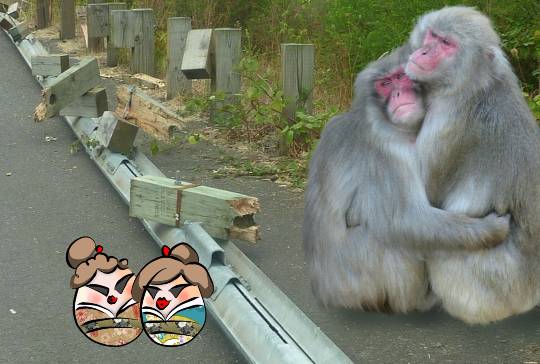 EGG'S CAFE 誰も知らない小さな...