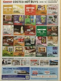 チラシのポスティングがありました