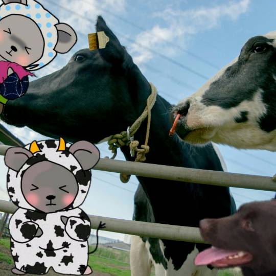 vol.12　愛調(ｵﾁｮ)南関東(ミナカン)連合　Merry Christmasか？！