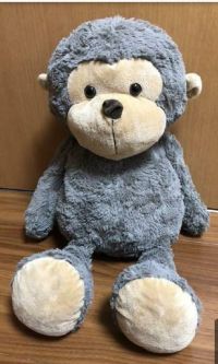 見た事ありますか？