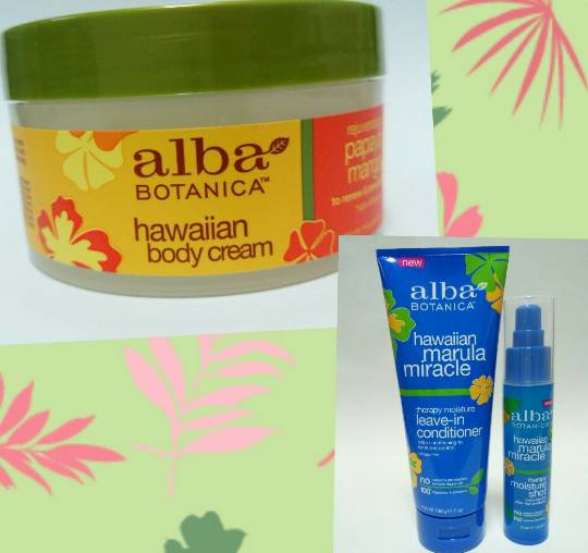 2／2（土）中部