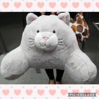 2月27日(水) 浜松