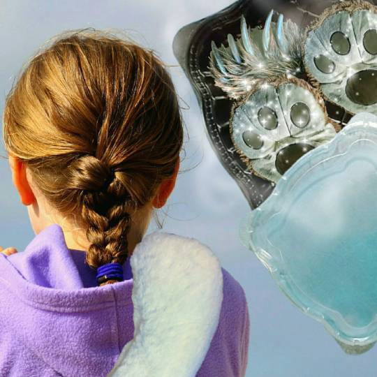 vol.13　愛調(ｵﾁｮ)南関東(ミナカン)連合  祝トピ　