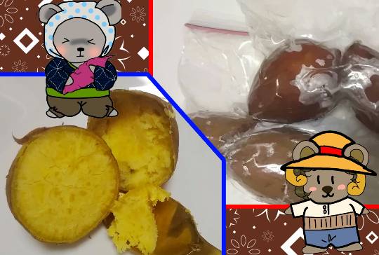 vol.13 愛調(オチョ)南関東(ミナカン)連合 祝トピ