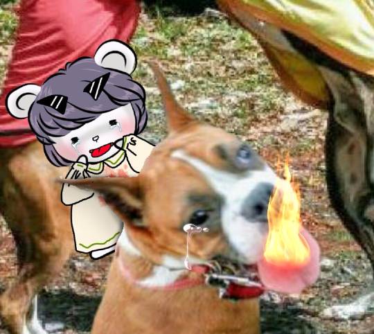 vol.13　愛調(ｵﾁｮ)南関東(ミナカン)連合  祝トピ　