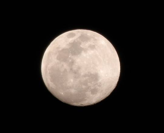 vol.13　愛調(ｵﾁｮ)南関東(ミナカン)連合  祝トピ　