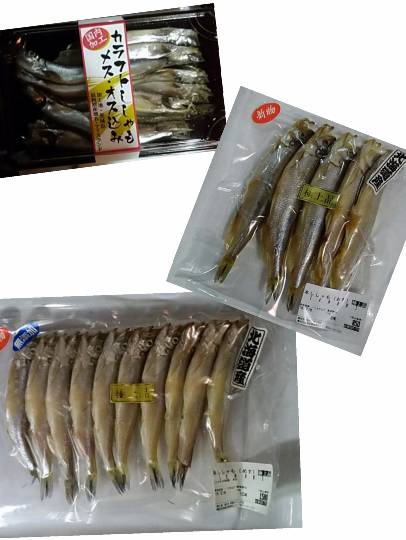 vol.13　愛調(ｵﾁｮ)南関東(ミナカン)連合  祝トピ　