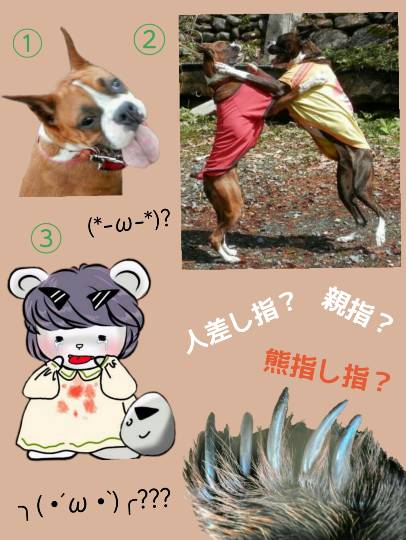 vol.13　愛調(ｵﾁｮ)南関東(ミナカン)連合  祝トピ　