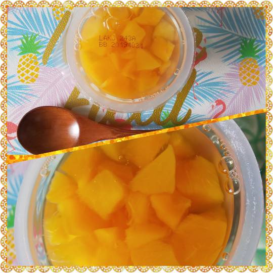 vol.13　愛調(ｵﾁｮ)南関東(ミナカン)連合  祝トピ　