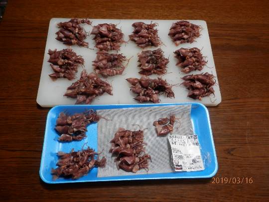 vol.13　愛調(ｵﾁｮ)南関東(ミナカン)連合  祝トピ　