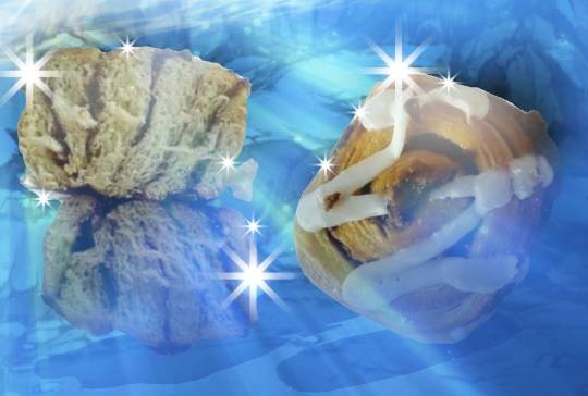 vol.13　愛調(ｵﾁｮ)南関東(ミナカン)連合  祝トピ　