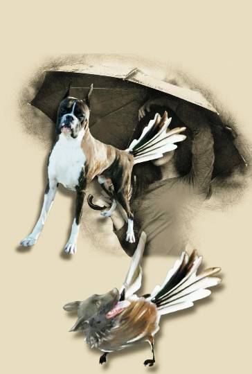 vol.13　愛調(ｵﾁｮ)南関東(ミナカン)連合  祝トピ　