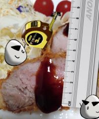 低温調理器で超～分厚いトンカツ❤️