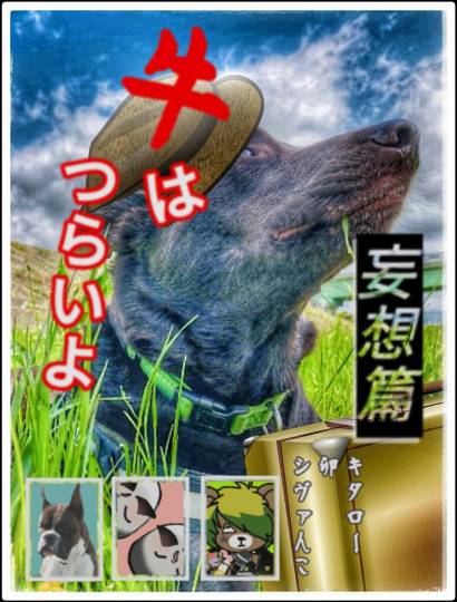 生き物ルーム第11(=^ェ^=)