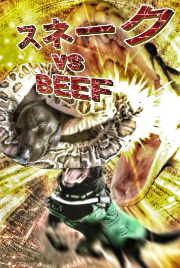 生き物ルーム第11(=^ェ^=)