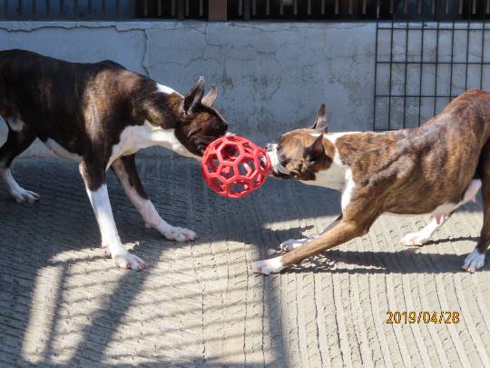 生き物ルーム第11(=^ェ^=)