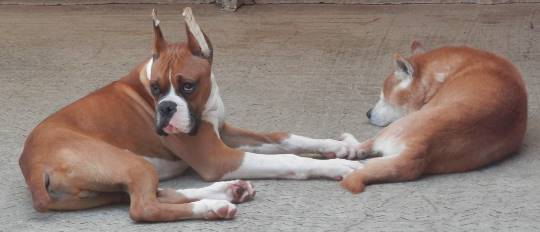 生き物ルーム第11(=^ェ^=)