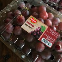 レッドグローブ