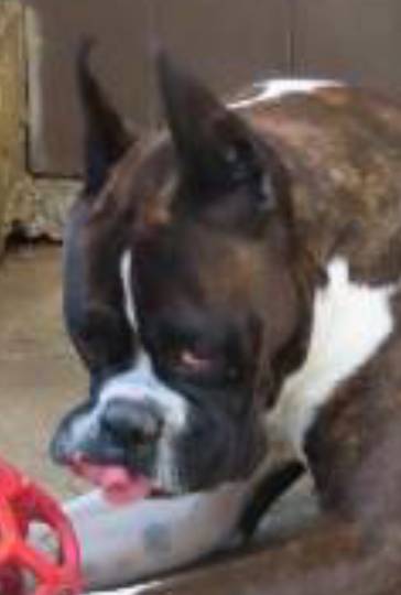 生き物ルーム第11(=^ェ^=)