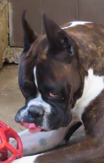 生き物ルーム第11(=^ェ^=)