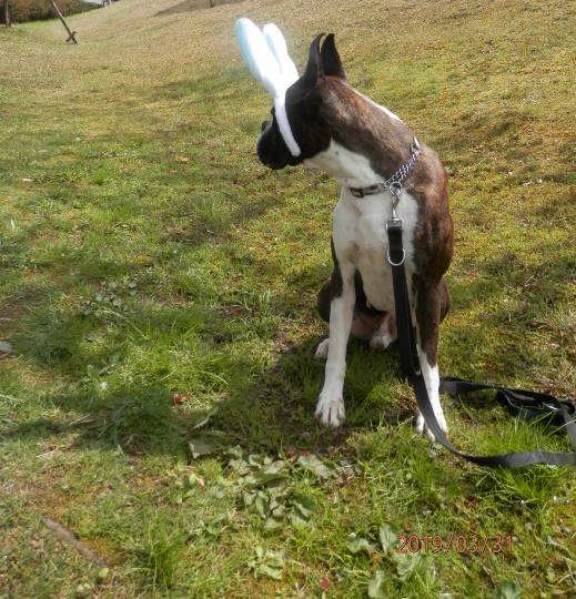 生き物ルーム第11(=^ェ^=)