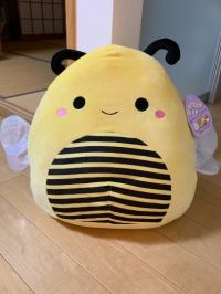 アリエール買えました