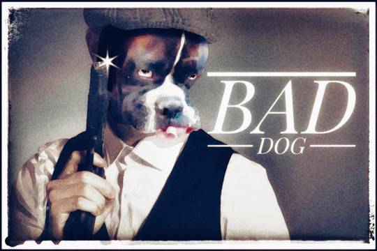 生き物ルーム第11(=^ェ^=)