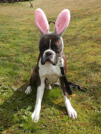 生き物ルーム第11(=^ェ^=)